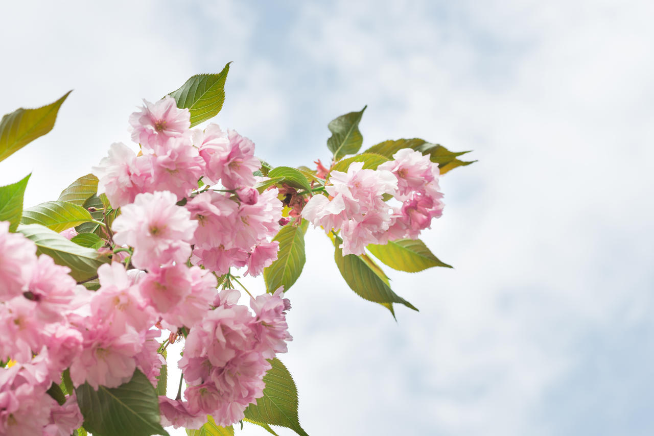 节日月份_3月节日_3月4日是什么节日