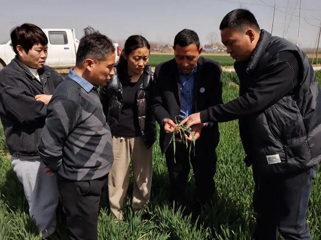 南方小麦收割时间_江苏小麦收割时间_小麦收割时间