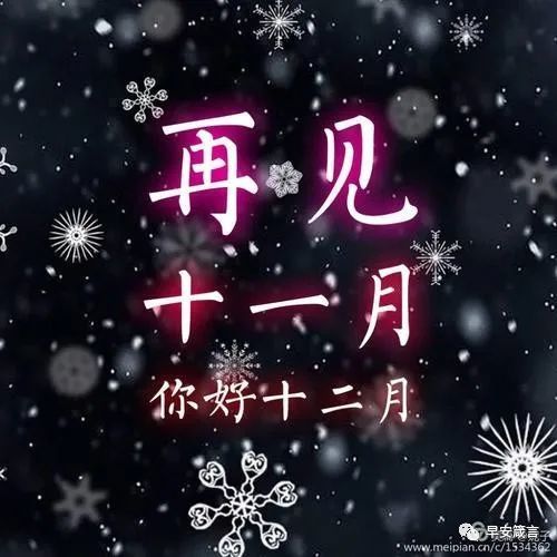 日历2023年日历表_2023年日历全年表高清_2023年11月日历