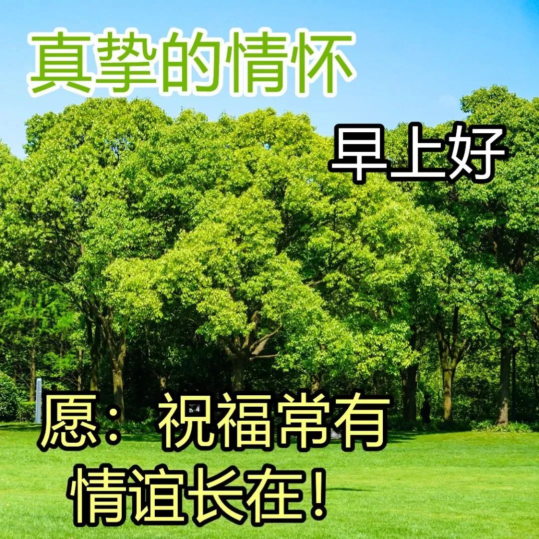 交友语音app_交友聊天的app软件有哪些_语玩聊天交友软件下载