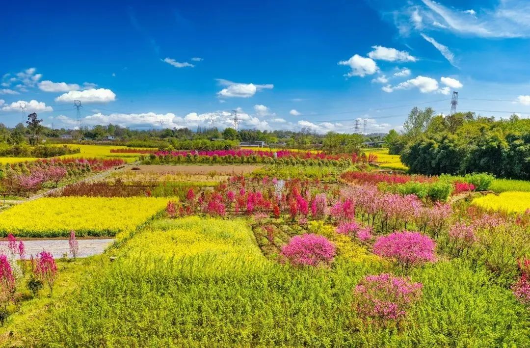 春暖花开地址_开发区春暖花开_春暖花开地址