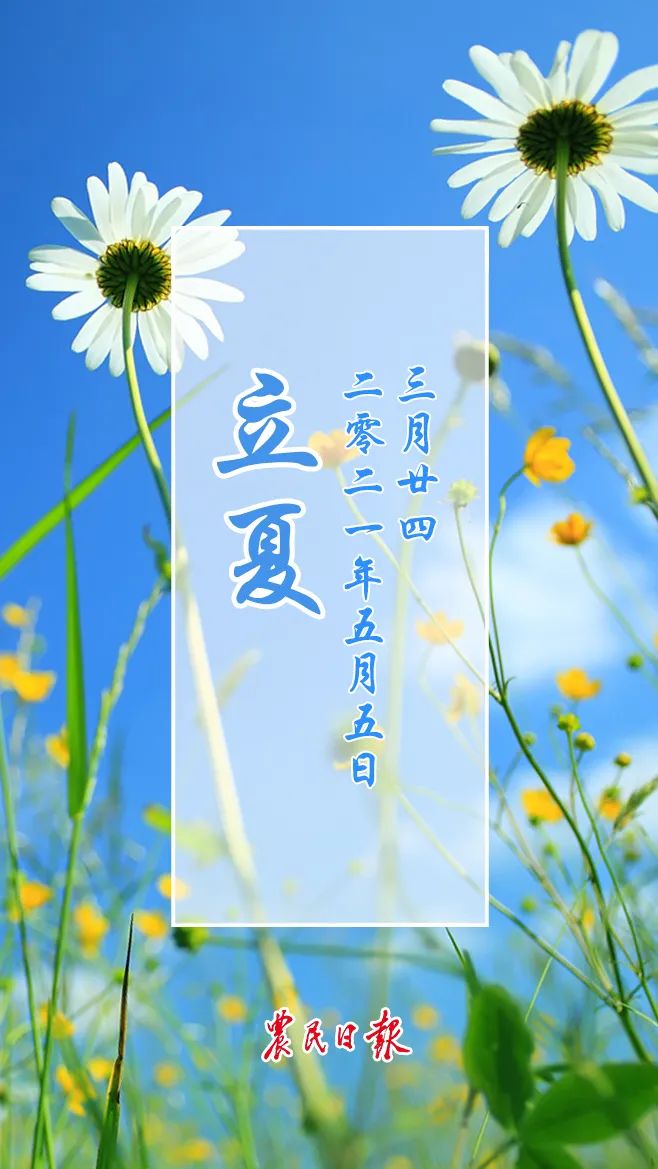 夏季第一个节气_24节气夏季_节气夏季古诗