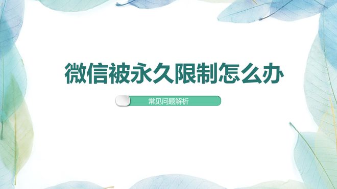 转账解除限制微信怎么操作_微信转账被限制怎么解除_转账解除限制微信怎么弄