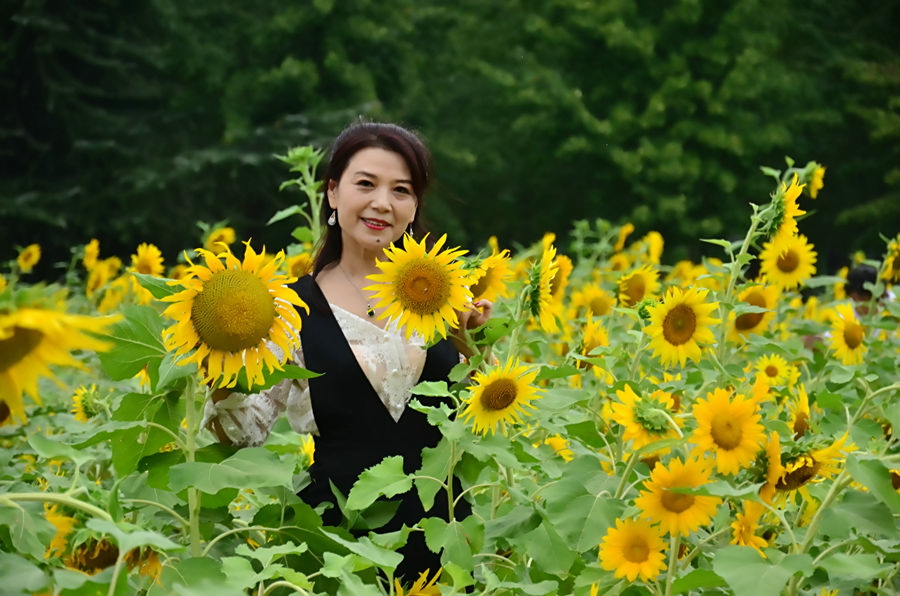 立花阳未_立花阳未_立花阳未