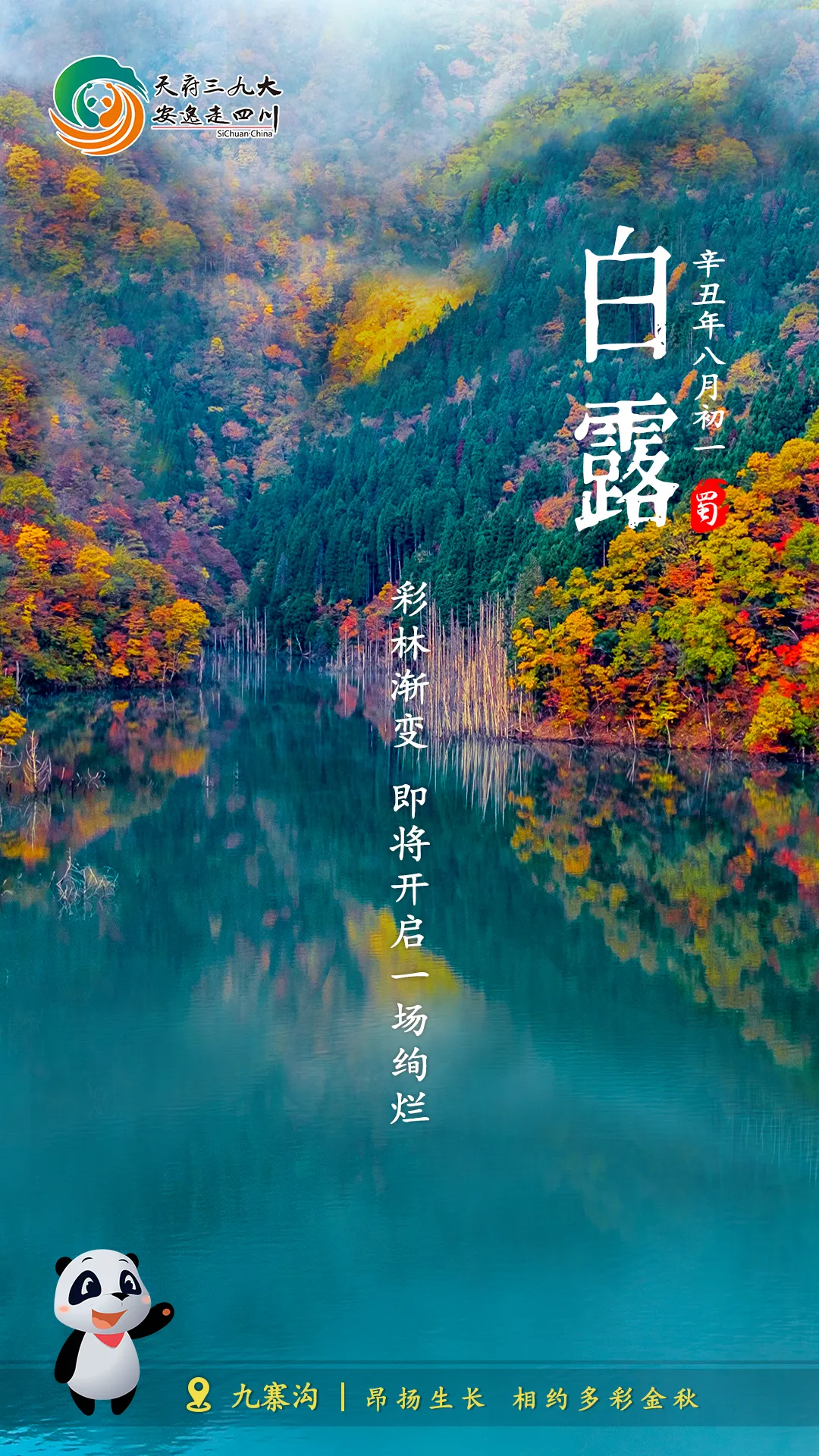 白露节气_节气白露介绍_节气白露什么意思