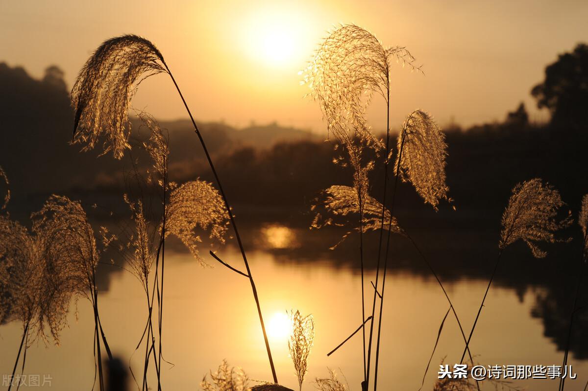 雨做的云什么意思_风中有朵雨做的云未删减_雨做的云全文免费阅读全文