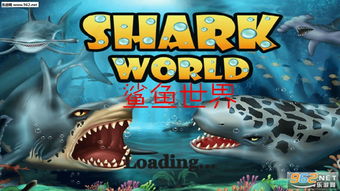 养鲨鱼的游戏,养鲨鱼游戏的奇幻之旅