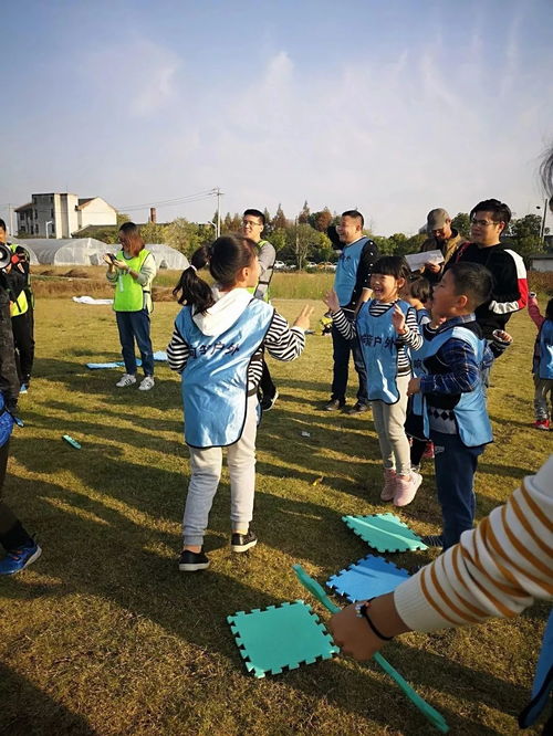 小学生课外游戏,小学生课外游戏精选解析”