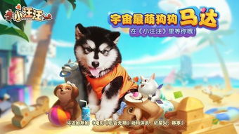 小汪汪游戏,欢乐童年游戏体验