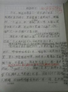 三年级作文做游戏,三年级作文中的游戏时光”