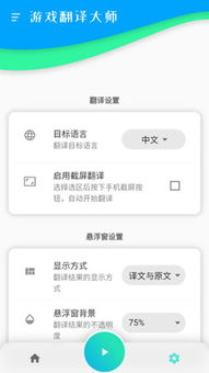 英文游戏翻译软件,畅玩国际游戏无障碍