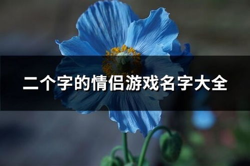 二字情侣游戏名,打造个性游戏互动体验