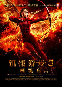 饥饿游戏系列,探索反乌托邦世界的残酷与希望