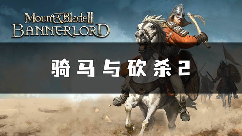 骑砍类游戏,骑砍类游戏魅力全解析