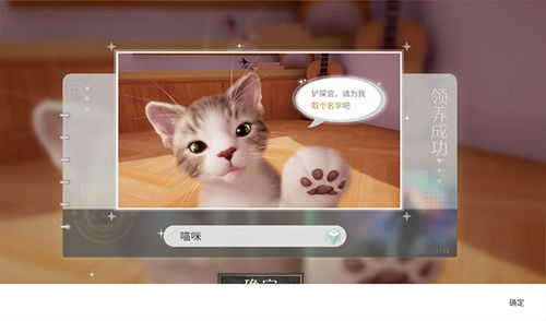 我的猫咪游戏,萌宠探险之旅