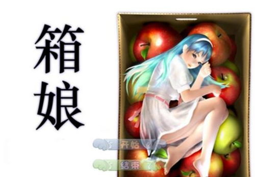 箱娘游戏,开启冒险之旅