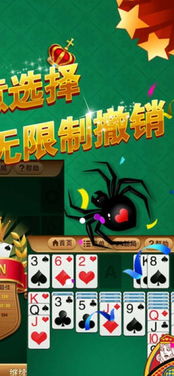 蜘蛛游戏牌,规则解析与策略技巧全解析