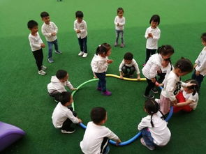 幼儿在游戏中,成长与发展的乐园