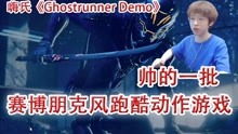 嗨氏主机游戏,荒野之息的华丽转身