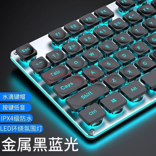 电脑键盘打字游戏,电脑键盘打字游戏的乐趣与技巧探索