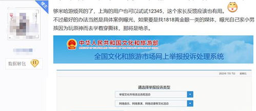游戏举报网站,守护玩家权益