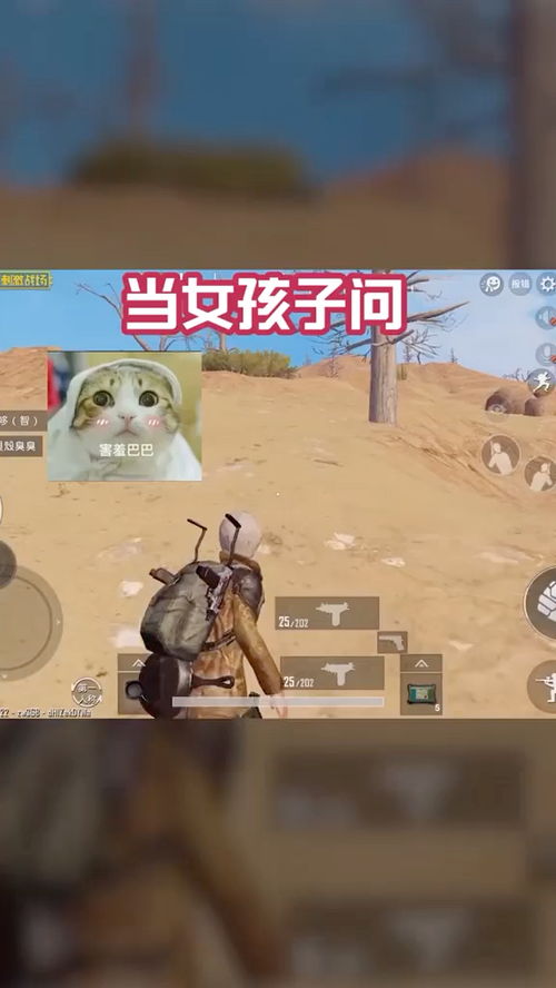 游戏重要还是我重要,探寻游戏与个人价值的平衡之道
