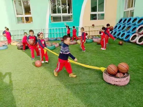 户外体育游戏活动,幼儿健康成长与创造力激发的乐园”