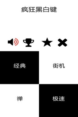 黑白键游戏,钢琴块2黑白键游戏技巧与挑战解析