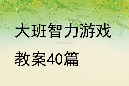 大班智力游戏教案,大班智力游戏教案解析与应用