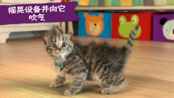 猫咪很可爱游戏,萌宠游戏中的欢乐时光