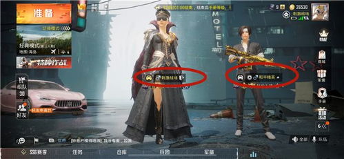 经典游戏id,探寻那些令人难忘的游戏ID传奇
