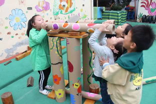 幼儿园优秀游戏案例,共育未来之星——幼儿园优秀游戏案例集锦