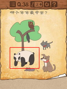 最囹游戏,最囹游戏深度解析