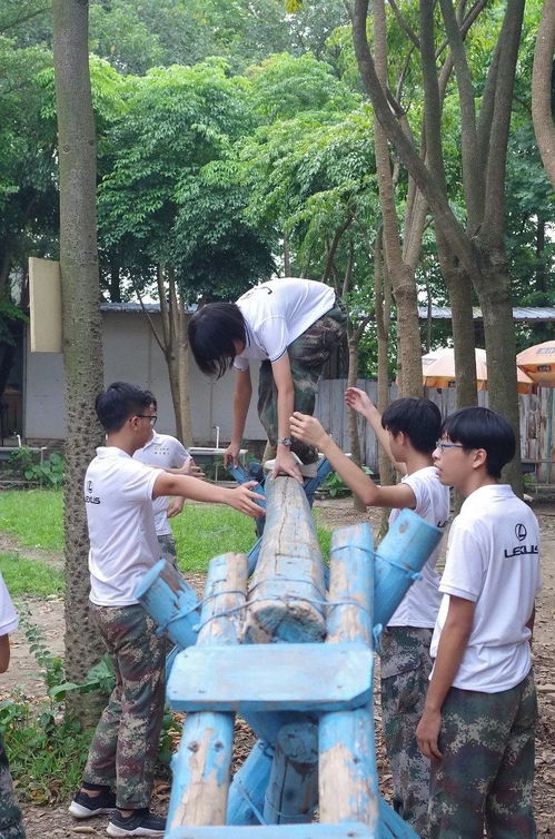 简单的团队游戏,凝聚力量