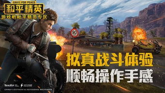 和平精英游戏平台,打造战术竞技新标杆
