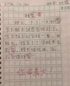 我与游戏作文,作文中的欢乐时光”