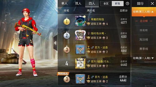 吃鸡游戏改名字,探索吃鸡游戏名称的演变与魅力