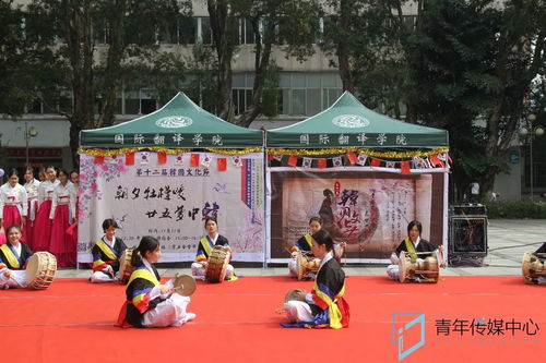 四物游戏,探索策略与乐趣并存的扑克新体验