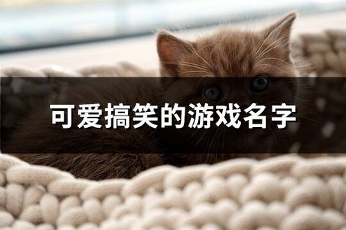 搞笑游戏网名大全,搞笑游戏网名大盘点