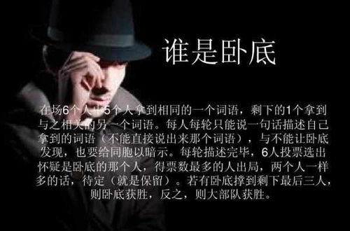 谁是卧底 游戏规则,身份揭秘与策略对决