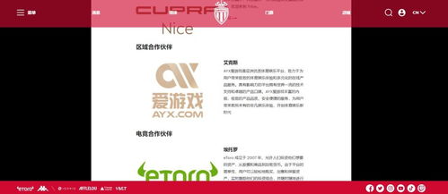 爱游戏赞助,共创电竞辉煌时刻