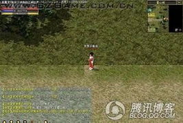 雷人的游戏,挑战极限的虚拟冒险之旅