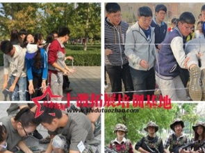 破冰分组游戏,创意分组游戏助力团队融合与互动