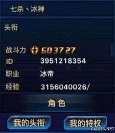 游戏id前缀,揭秘以“梦幻”为前缀的传奇ID