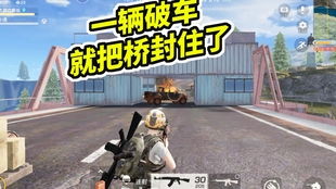 老司机游戏解说,深度解析热门游戏解说