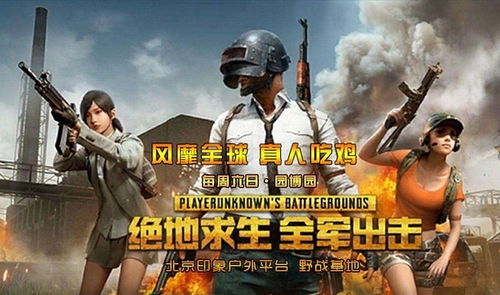 吃鸡游戏真人版,惊心动魄的生存挑战