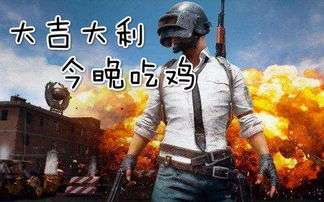 吃鸡游戏为什么火,揭秘“吃鸡游戏”火爆背后的秘密