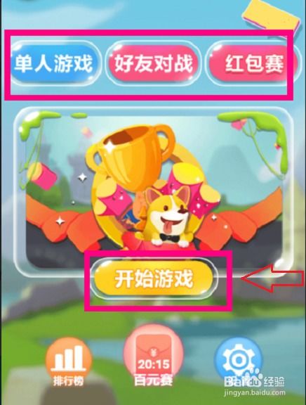 萌宠挖矿游戏开始,挖矿探险之旅——萌宠挖矿游戏全新体验