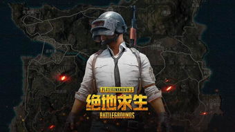 吃鸡游戏免费玩,揭秘免费玩吃鸡游戏的魅力之旅