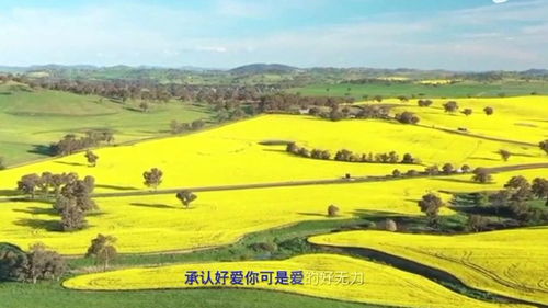 龙梅子别拿感情当游戏,珍惜真挚情感